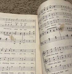 1881 The Mascot – Audran – Rare Original Sheet Music