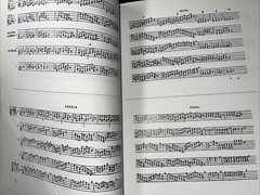 Silvestro Ganassi Sheet Music Opera intitulata Fontegara Hortus Musicus 1991 NEW