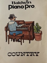 Lot Of 20+ Vintage Song Books For Piano. Multiple Genres & Instruction