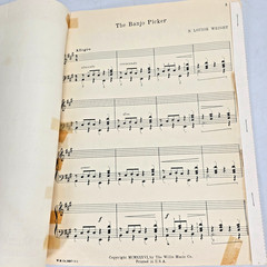 The Banjo Picker Piano Sheet Music Song 1936 N Louise Wright Williams Vintage