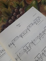 Miguel Llobet Guitar Works Classical GuitarBook,22 Pieces Original Transcription