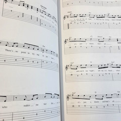 Hal Leonard Fantastic Guitar Songbook 85 Songs Tabs Acoustic Electric Classical