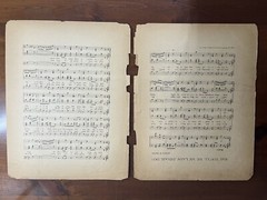 Say You’ll Be My Lady , Dinahdo Antique Sheet Music WW1 Era 1901 Large Format