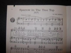 Sparrow In The Tree Top Sheet Music Vintage 1951 Guy Mitchell Bob Merrill (O)