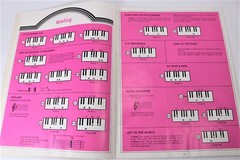 Organ Songbook Music Genre Variety Performer Sampler Wurlitzer 1973