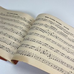 1890 The Common Sense Clarinet Instructor Music Book National Music Co Chicago