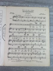 When You and I Were Seventeen Sheet Music P/V/G Irving Berlin 1924 Ukulele