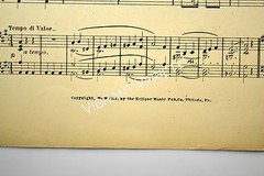 The Merry Widow By Franz Lehar 1908 Sheet Music Art cover By Jenkins~ Dancers~