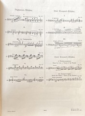 Liszt Piano Etudes Book 2 Klavierwerke IV Etüden II Edition Peters 3600d