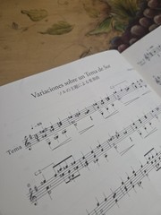 Miguel Llobet Guitar Works Classical GuitarBook,22 Pieces Original Transcription