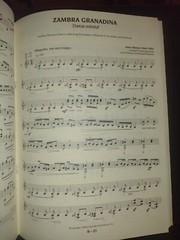 The Newman & Oltman Guitar Duo Songbook Songs Of Spain Classical Excellent Cond
