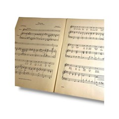 1920 Please Ballad Fox-Trot Sheet Music Callahan Roberts G. Schirmer