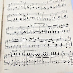 On the Beautiful Blue Danube Sheet Music Piano Johann Strauss Op 314 1901 Waltz