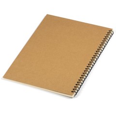 Blank Sheet Music Notebook – 100 Pages Manuscript Staff Paper, 26x19cm, Black