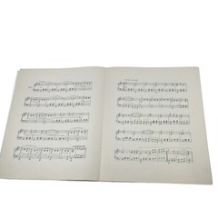 The Merry Widow Waltz Die Lustige Wittwe Witwe Sheet Music Franz Lehar RARE 1907