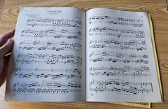Schirmer&rsquo;s Library of Musical Classics Selected Sonatinas 1904 and Clementi 1941