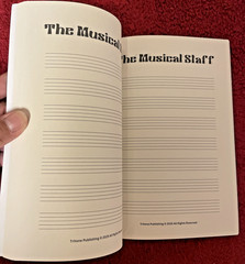 The Music Staff Notebook: Songwriting Manuscript Paper For Capturing Music Ideas