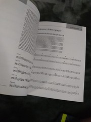 Electric Bass Guitar Revised Edition 1989