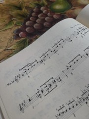 Mauro Giuliani 25 Etudes For Classical GuitarRare Book,Zen-On Series Jap Edition