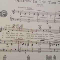 Sparrow In The Tree Top By Bob Merrill 1951 Sheet Music Guy Mitchell Cover