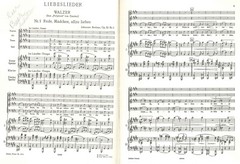 Brahms Liebeslieder Vocal Score SATB Mixed Voices Piano 4 Hands Ed Peters #3912