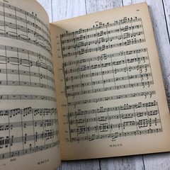 1920s Philharmonia Symphonie I Haydn Schumann Book Antique LOT No.31 115 AS IS