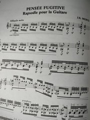Johann Kasper Mertz Unpublished Classical Guitar Solos Sheet Music