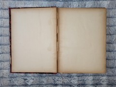 Antique Vincenzo Bellini La Sonnambula Canto E Pianoforte Complete Opera HC Book
