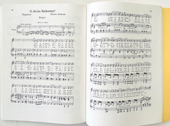 Album of Sacred Song Music Book Schirmer&rsquo;s Library Musical Classics Low Voice