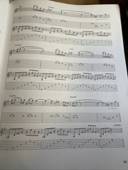 Instrumental Guitar Tab Bible Songbook 37 Songs 224 Pages Excellent Cond