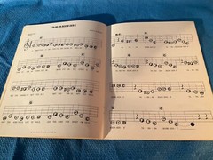 Lowrey Magical World of Genie Music Polkas and Marches Sheet Music Book Loc BB
