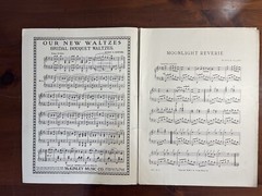 Moonlight Reverie By M Viola Allen Piano Antique Sheet Music Large Format 1904