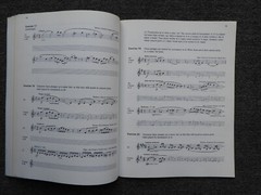 Music Thoery Books Job Lot of 4- AB Guide, Rudiments of Music Theory In Practice