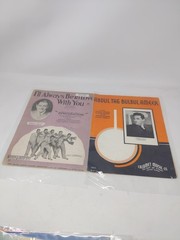 Lot Of Thirty Vintage Sheet Music Show Tunes Hit Parade Piano Vocal Movie Stars