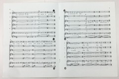O Sleep My Little One Irish Choral Series SATB Chorus Solo Voice Sheet Music ECS