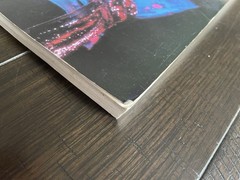 Stevie Ray Vaughan Guitar Tab Book Tablature Lightnin’ Blues 1983 – 1987