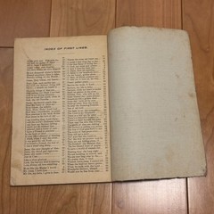 Antique 1904 Songs of Worship and Grace Hymnal – L.W. Munhall Cloth Cover 5×7