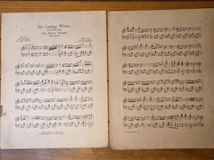 Vintage Merry Widow Waltz Sheet Franz Lehar F. W. Meacham