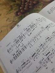 Manuel M.Ponce Concerto Del Sur For Guitar And Orchestra Rare Book,80 Pages