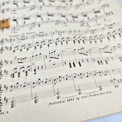 On the Beautiful Blue Danube Sheet Music Piano Johann Strauss Op 314 1901 Waltz