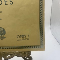 Vintage G Schirmer Chopin Etudes Complete Works Piano Score 1551 Yellow USA