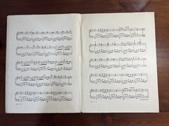 Moonlight Reverie By M Viola Allen Piano Antique Sheet Music Large Format 1904
