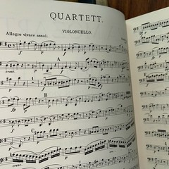 Sheet Music Mozart Quartette 1 No 16 Edition Peters Violoncello Cello Score Beck