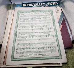 Vintage Sheet Music Assorted Lot Of 10 Used Guitar Ukulele Vocals Piano lyrics
