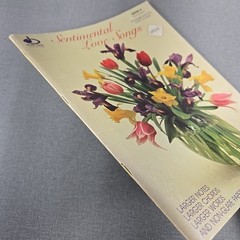 Sentimental Love Songs by Dan Coates ~ 1981 Vintage Music Songbook ~ Large Print