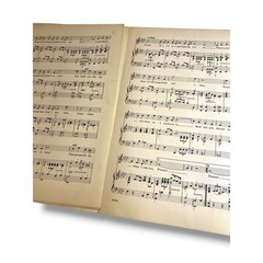1920 Please Ballad Fox-Trot Sheet Music Callahan Roberts G. Schirmer