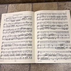 Beethoven Sämtliche Lieder Edition Peters Nr 180 Vocal Piano German Songs
