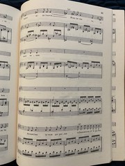 Chausson 20 Songs for High Voice and Piano SC No 1130 International Music French