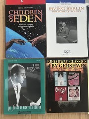 Lot Of 19 Vintage & Modern Broadway Play Vocal Selections Sheet Music Books