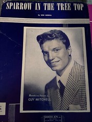 Sparrow in the Tree Top by Guy Mitchell Bob Merrill piano Sheet Music 1951